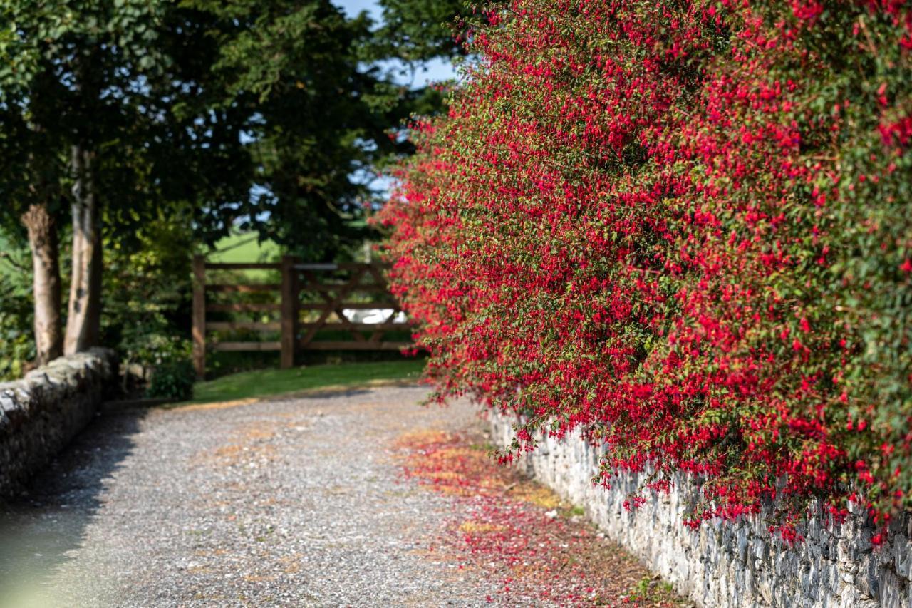 Craigmount Bed & Breakfast วิกทาว์น ภายนอก รูปภาพ